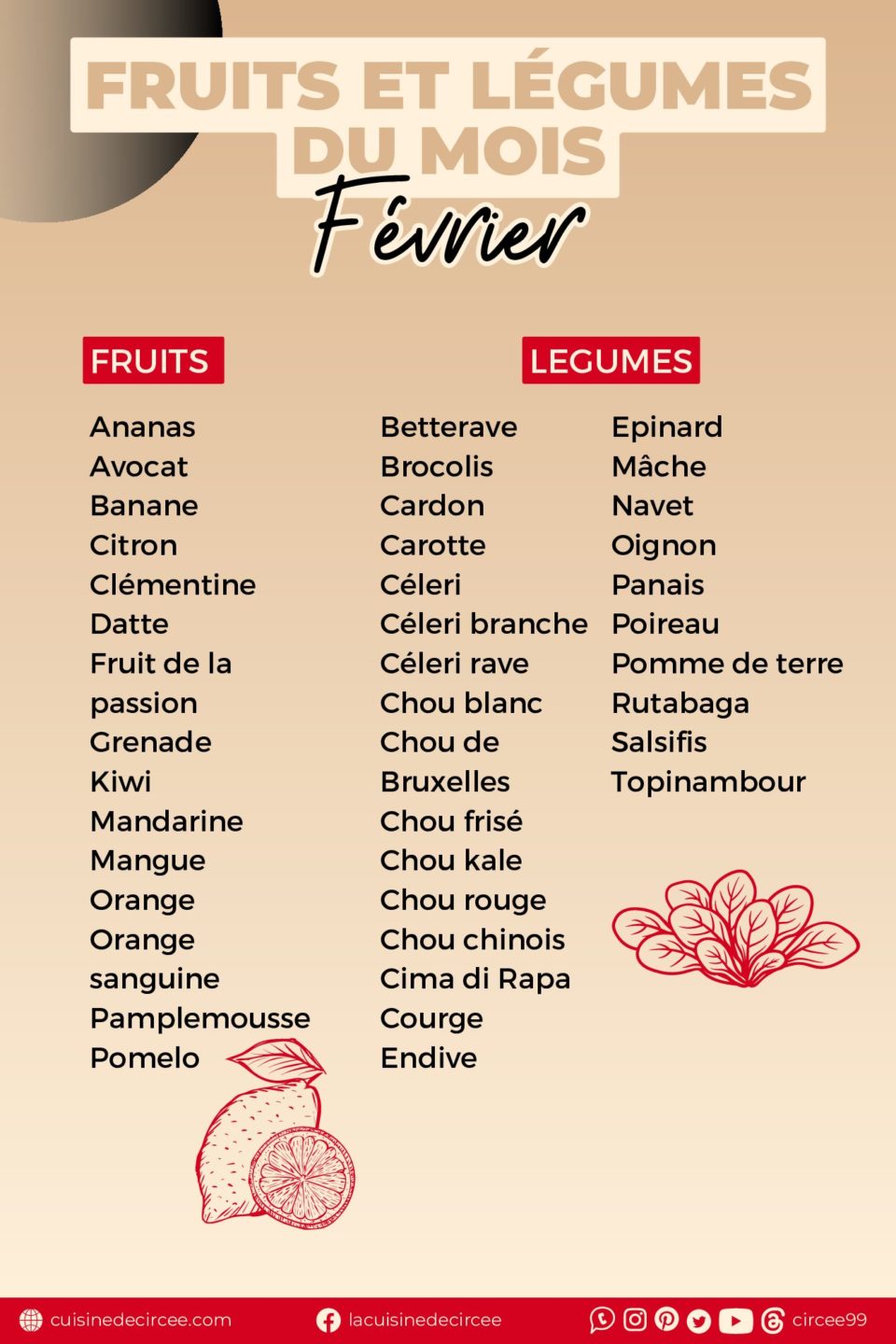 La cuisine de Circée