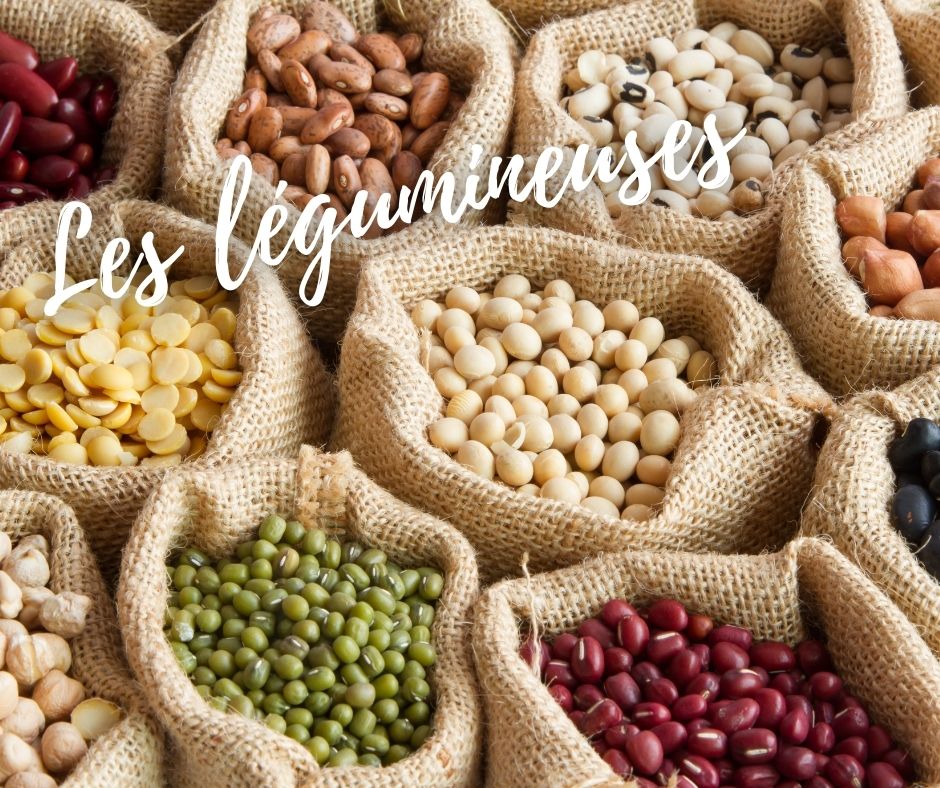 légumineuses