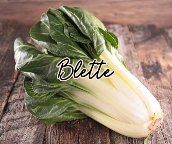 blette légume