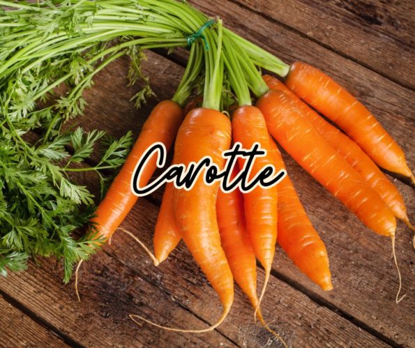 carotte recette