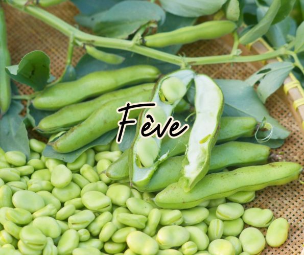 fève légumes avril mai juin juillet août recette 