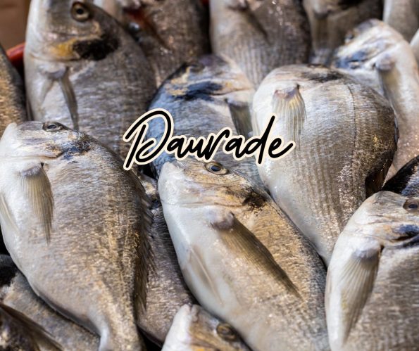 daurade poisson