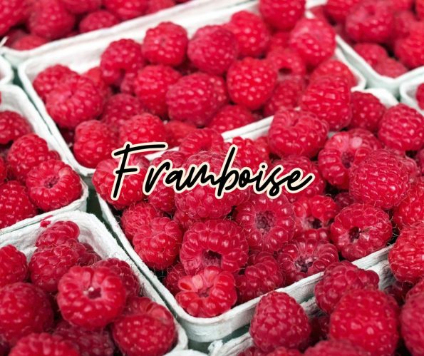 framboise fruit rouge été juillet août septembre