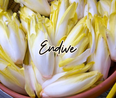 endive légume hiver salade