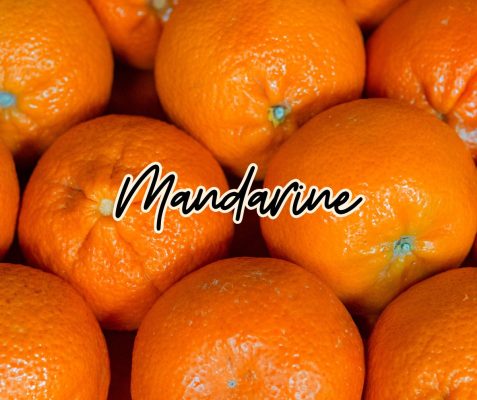 mandarine agrume fruit hiver