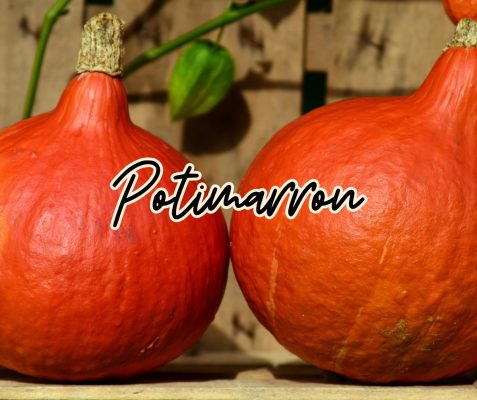 potimarron courge légume été automne hiver